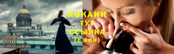соль ск Аркадак